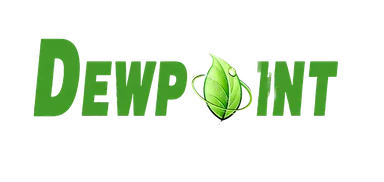 Dewpoint Corporation