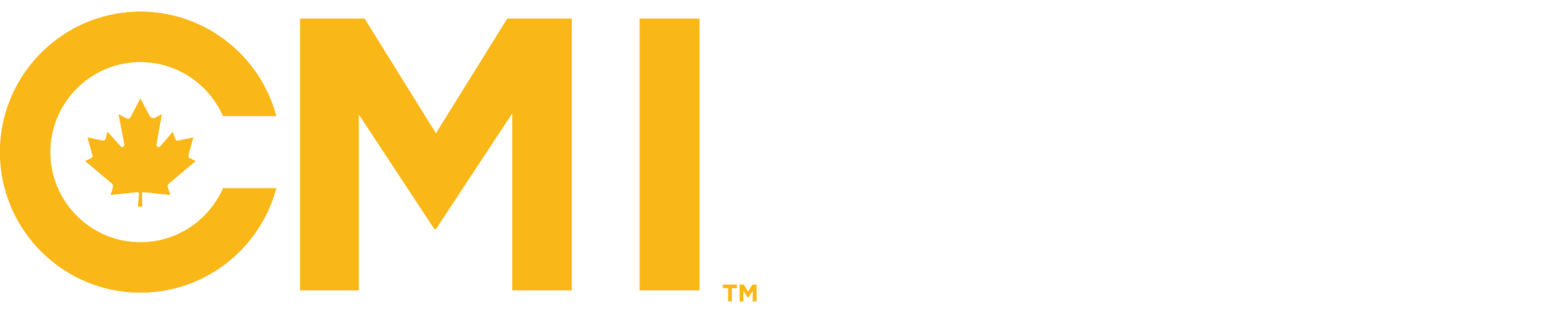 CMI Financial Group